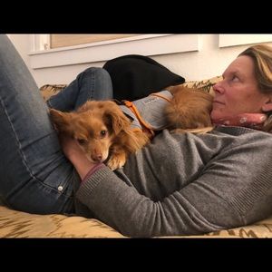 Meet your Posher, Elizabeth